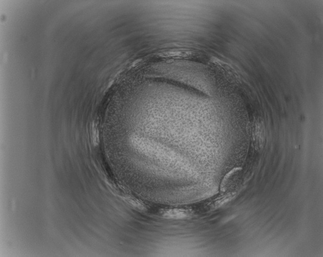 X0000066530751200603311820