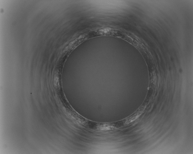 X0000066530754200603311820