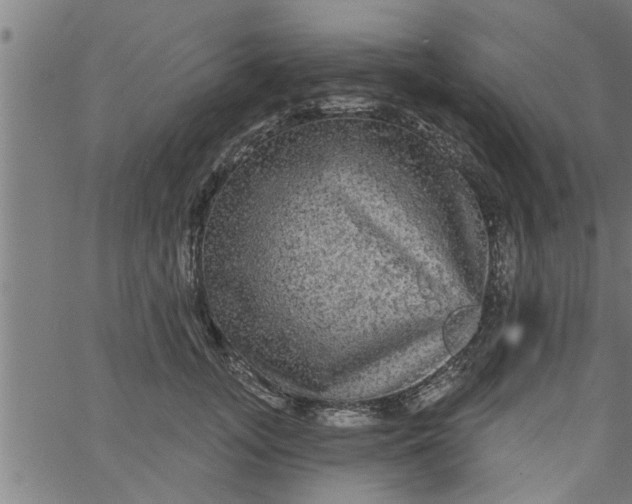 X0000066530755200603311820