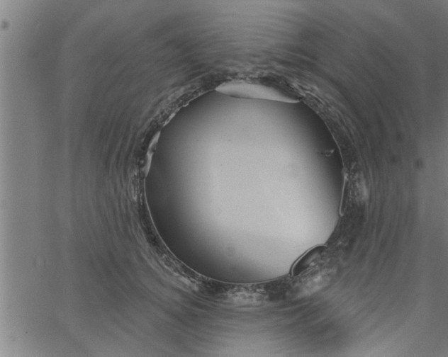 X0000066530756200603311820