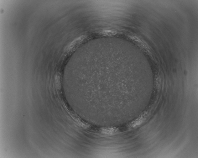 X0000066530757200603311820