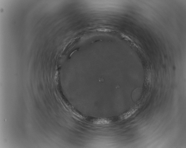 X0000066530759200603311820