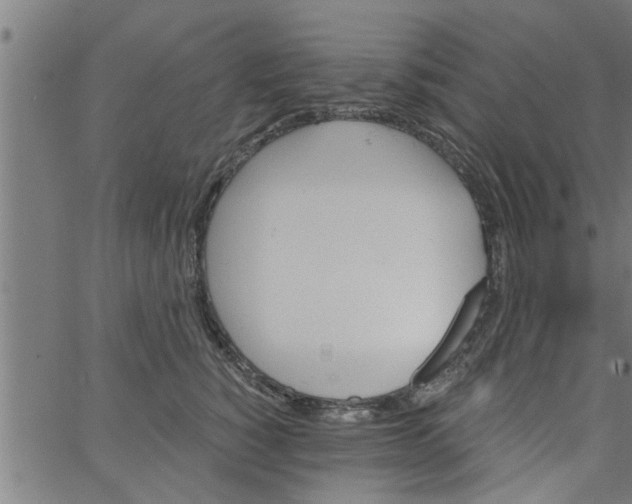 X0000066530760200603311820