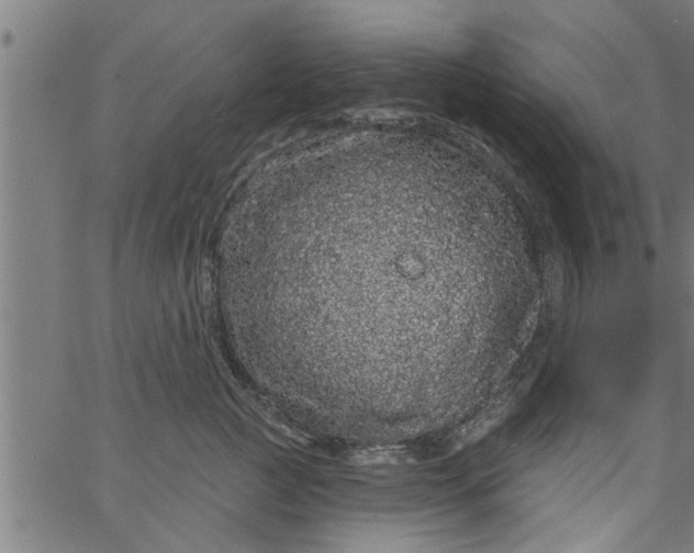 X0000066530761200603311820