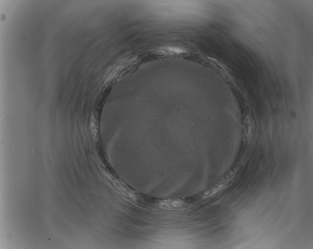 X0000066530762200603311820