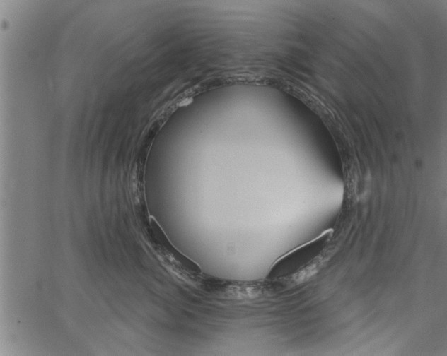 X0000066530764200603311820