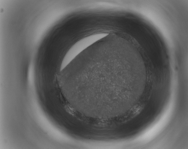 X0000066530765200603311820