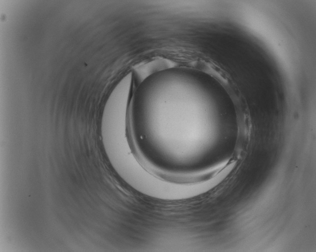 X0000066530766200603311820