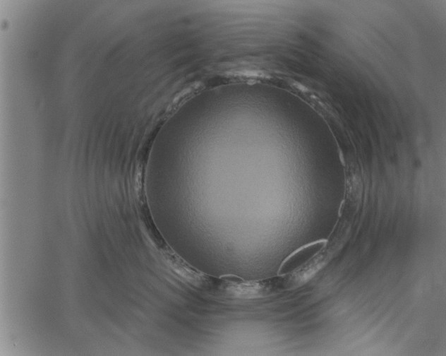 X0000066530767200603311820