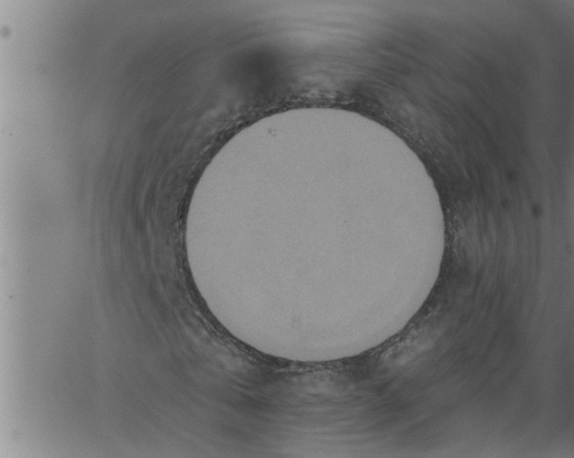 X0000066530769200603311819