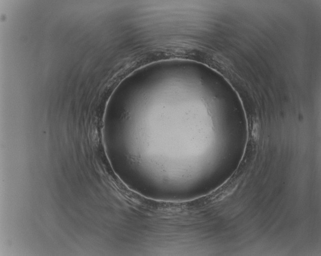 X0000066530771200603311819