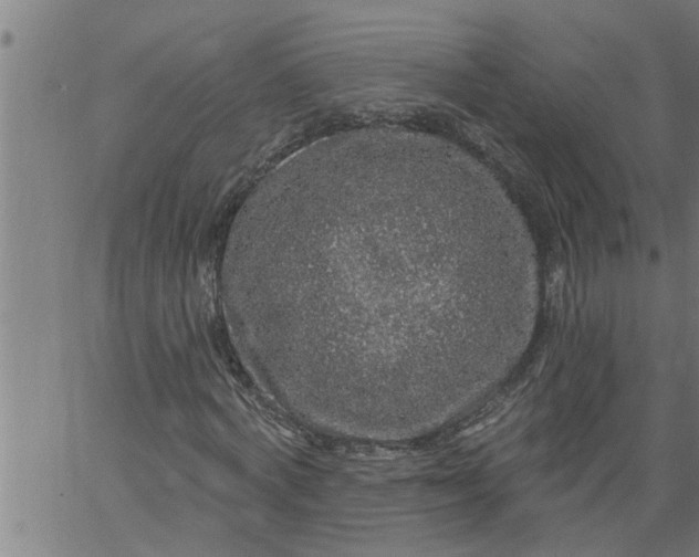 X0000066530772200603311819