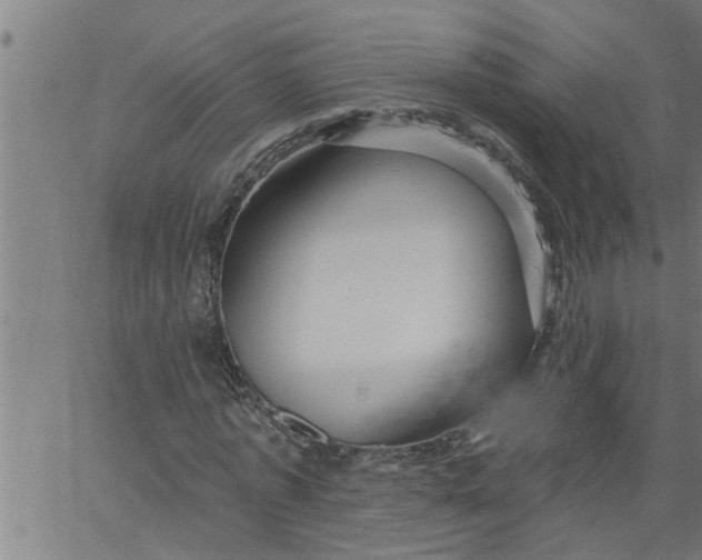 X0000066530773200603311819