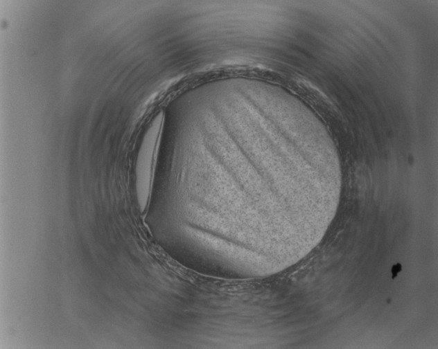 X0000066530776200603311819