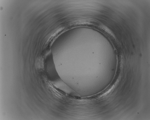 X0000066530777200603311819