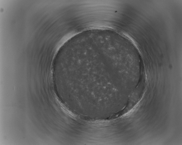 X0000066530779200603311819