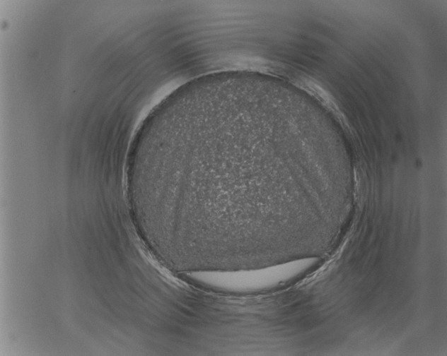 X0000066530780200603311819