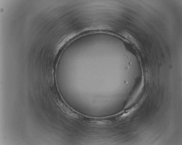 X0000066530781200603311819