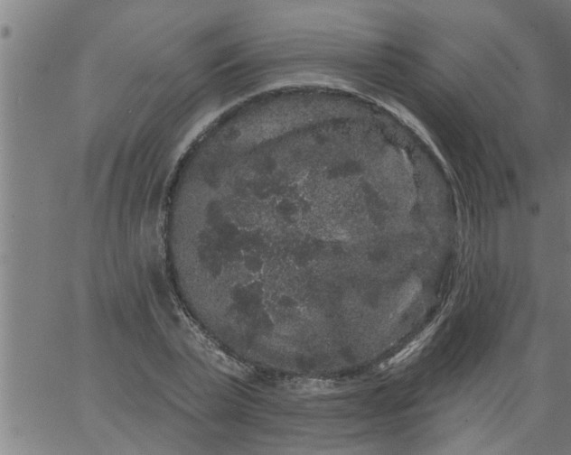 X0000066530783200603311819