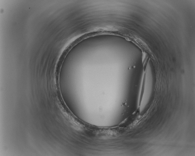 X0000066530784200603311819