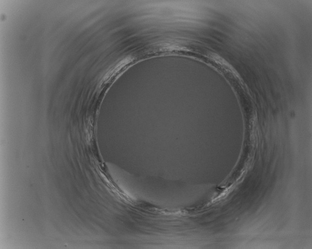 X0000066530785200603311819