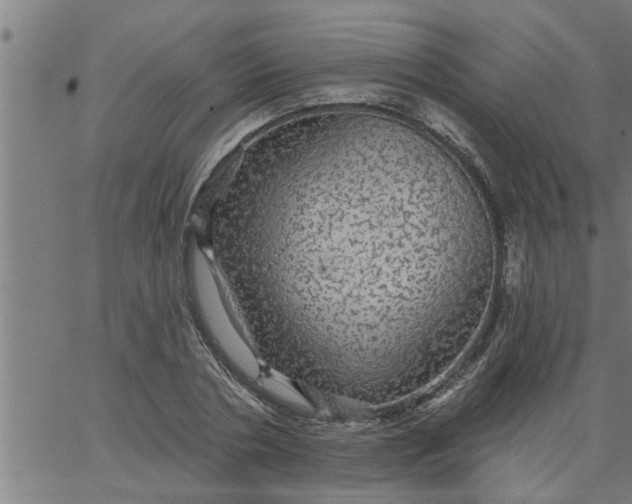 X0000066530786200603311819