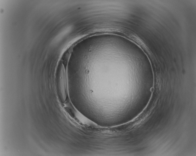 X0000066530787200603311819