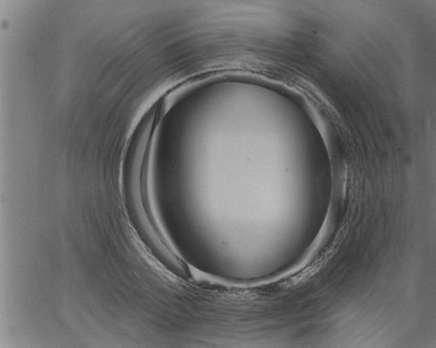 X0000066530788200603311819