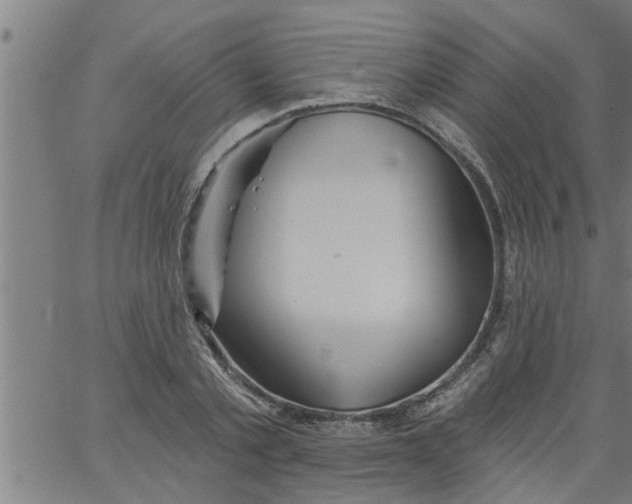 X0000066530789200603311819