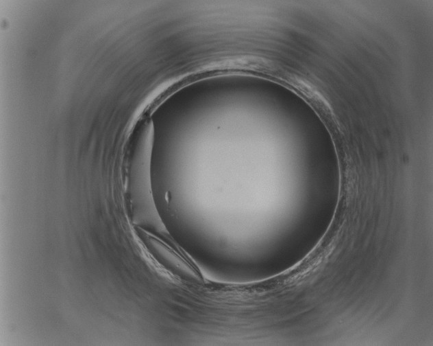 X0000066530792200603311819