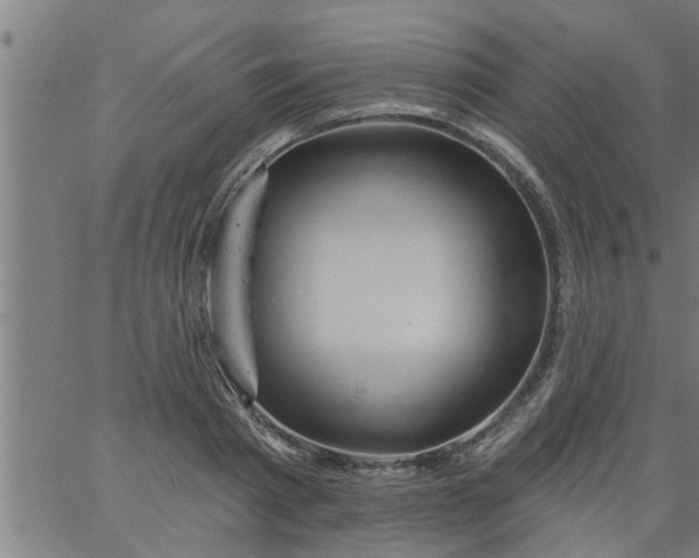 X0000066530793200603311819