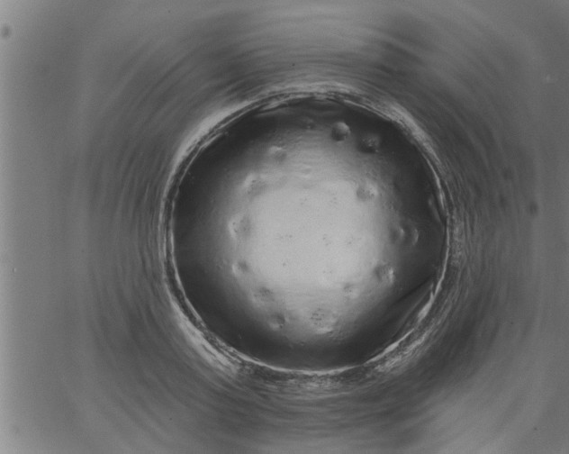 X0000066530795200603311818