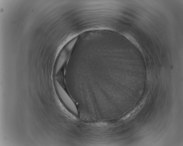 X0000066530797200603311818