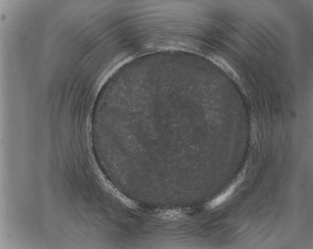 X0000066530798200603311818