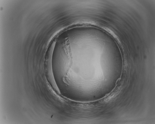 X0000066530799200603311818