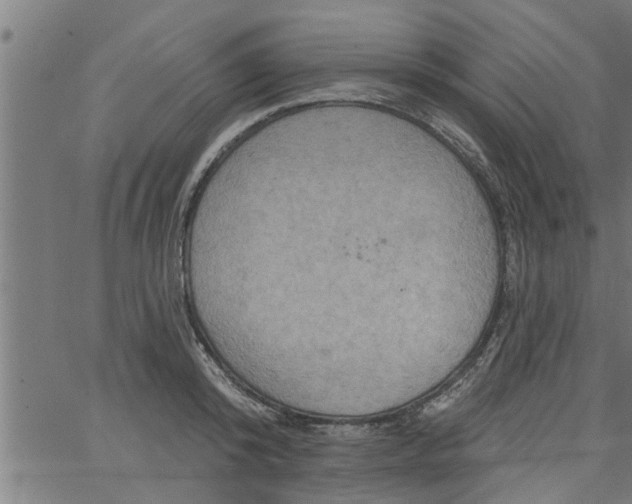 X0000066530800200603311818