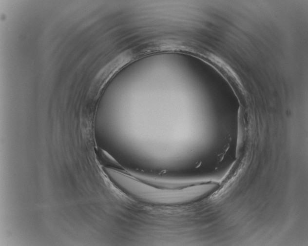 X0000066530801200603311818