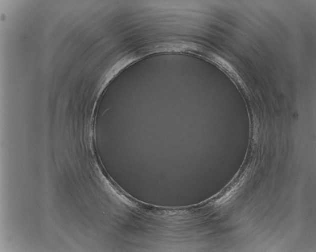 X0000066530802200603311818