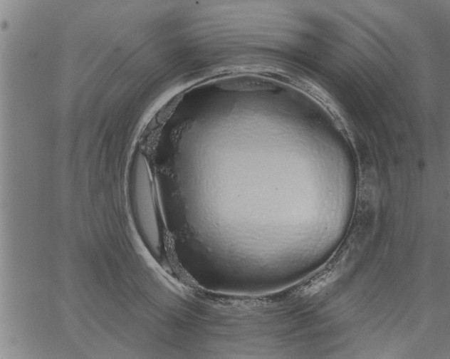 X0000066530803200603311818