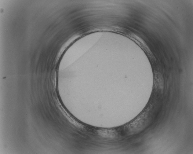 X0000066530804200603311818