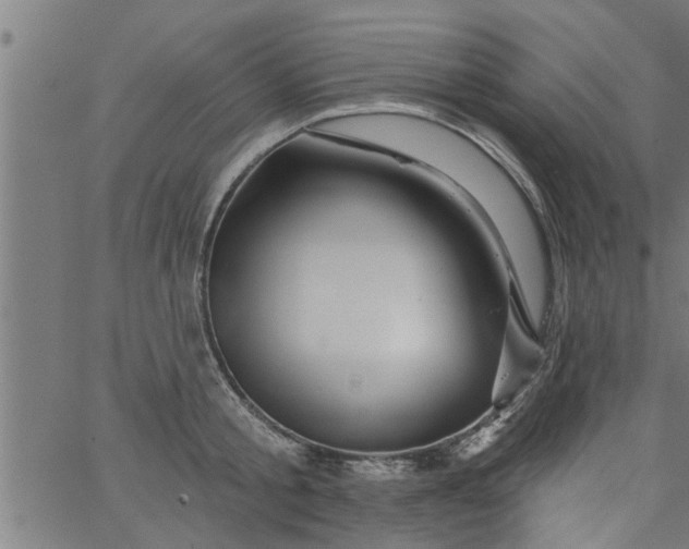 X0000066530805200603311818