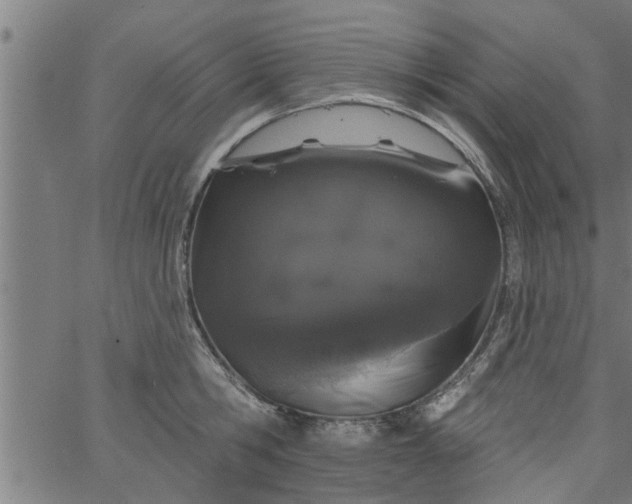 X0000066530806200603311818