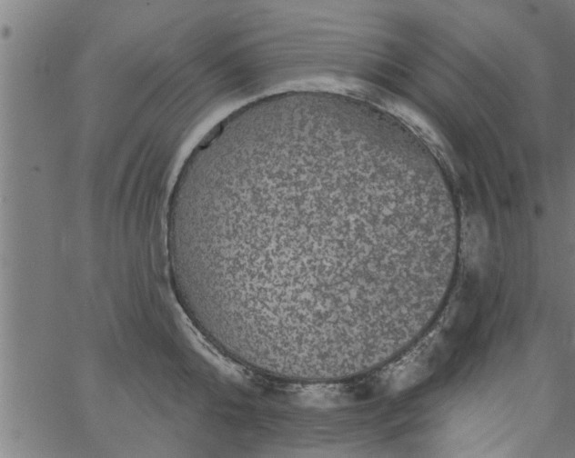 X0000066530808200603311818