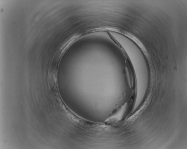 X0000066530809200603311818