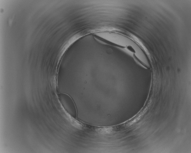 X0000066530810200603311818