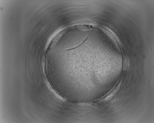 X0000066530812200603311818