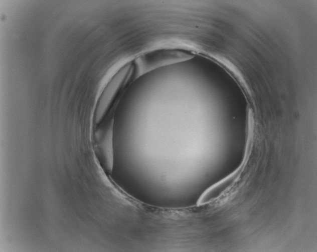 X0000066530815200603311818