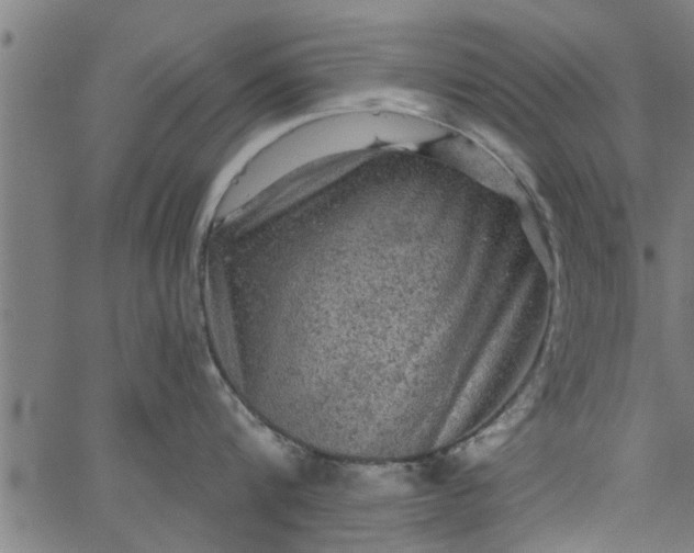 X0000066530816200603311818