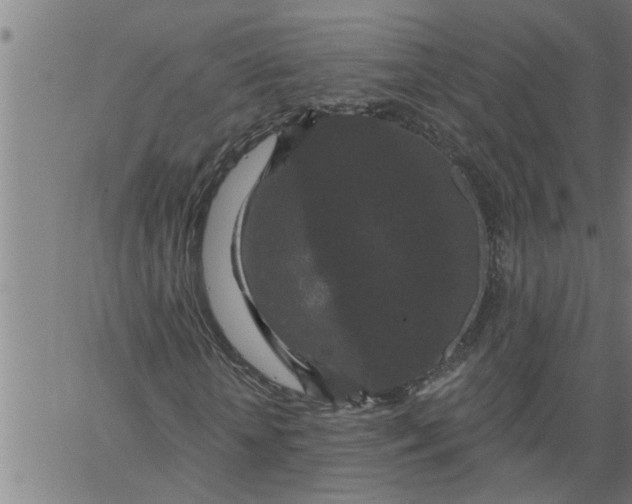 X0000066530818200603311817