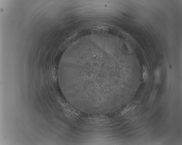 X0000066530819200603311817